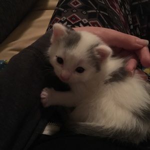 Meet your Posher, Hannah